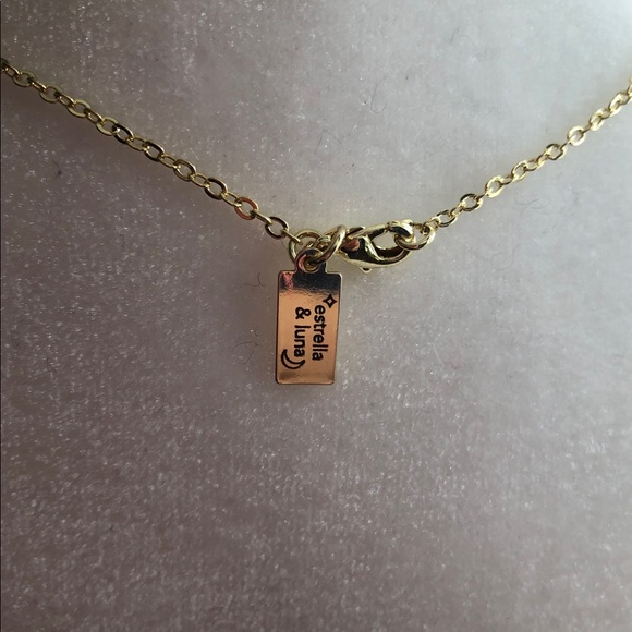 **ONE LEFT** Amazonite 14k gold necklace - Picture 3 of 4